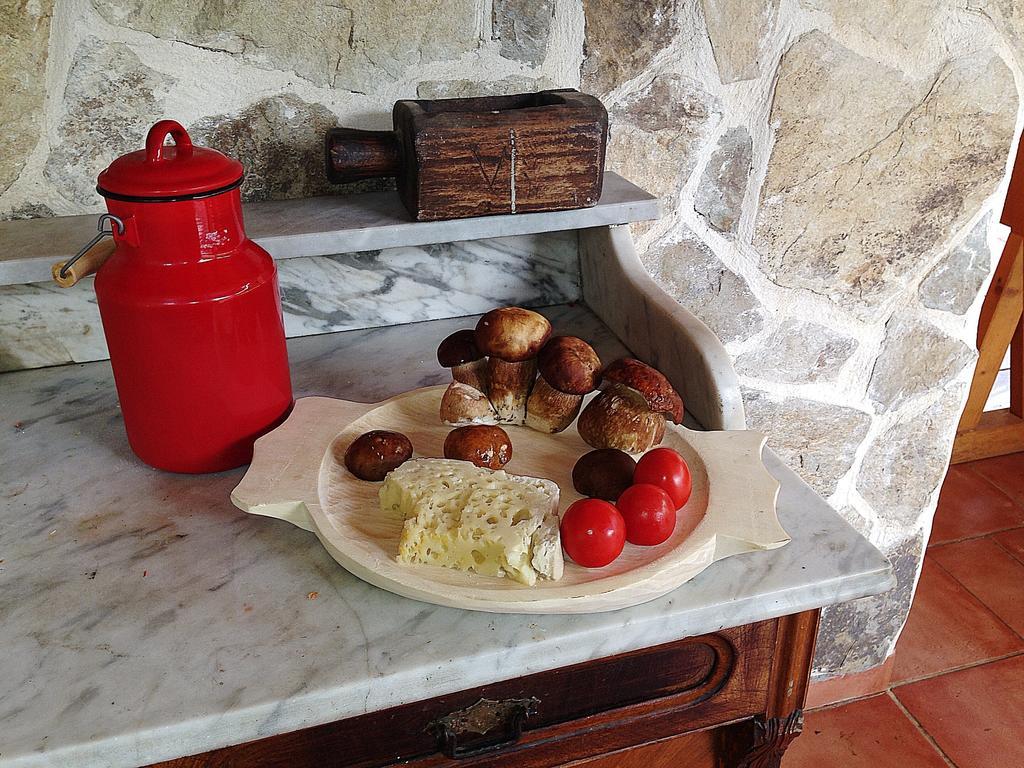 Gasthaus Maria Borlova Dış mekan fotoğraf