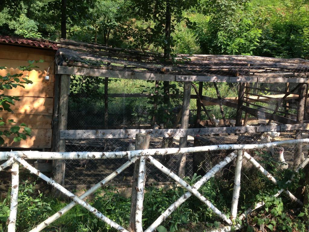 Gasthaus Maria Borlova Dış mekan fotoğraf