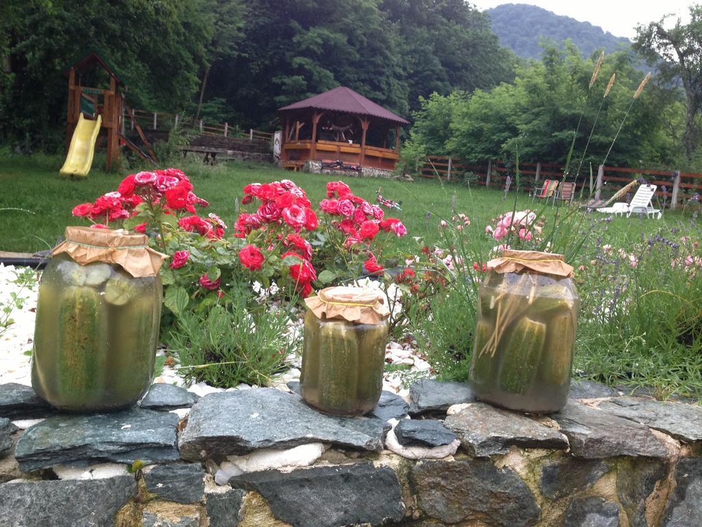 Gasthaus Maria Borlova Dış mekan fotoğraf