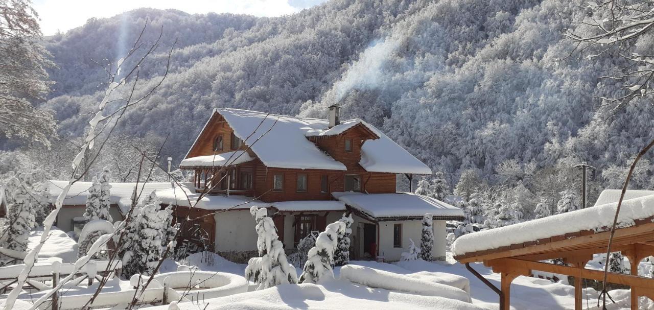 Gasthaus Maria Borlova Dış mekan fotoğraf