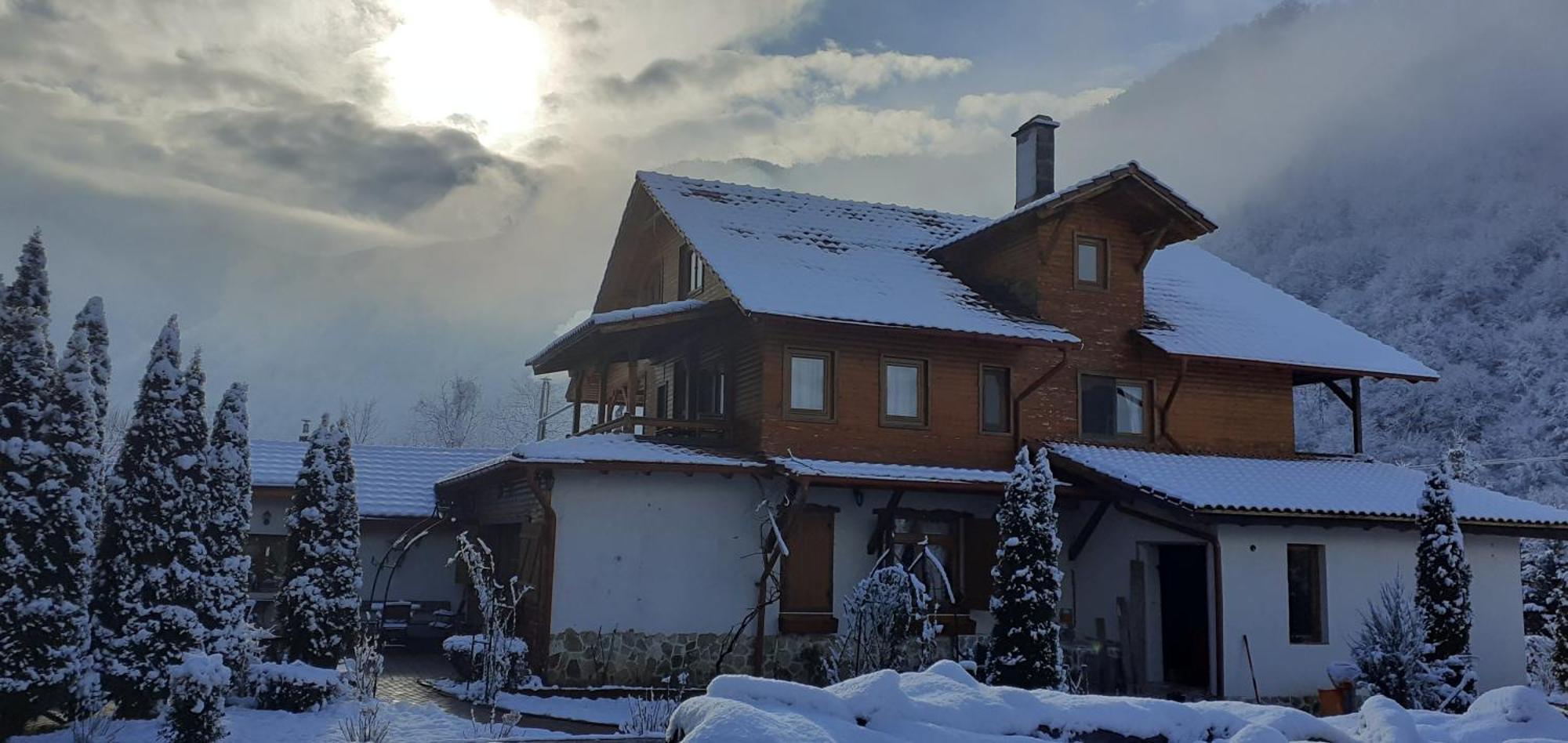 Gasthaus Maria Borlova Dış mekan fotoğraf