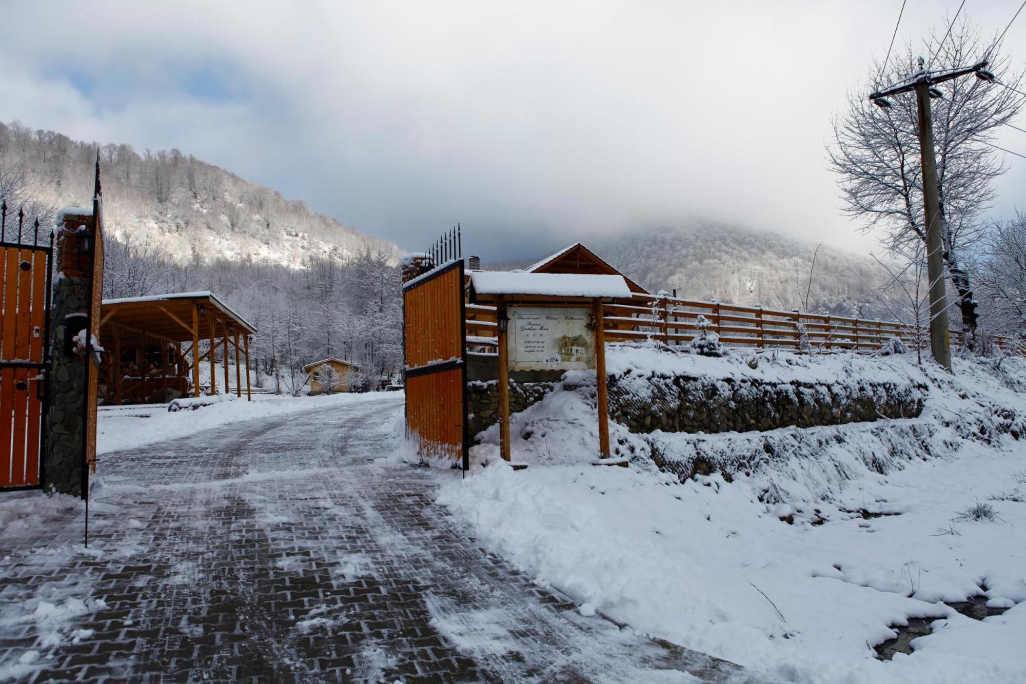 Gasthaus Maria Borlova Dış mekan fotoğraf