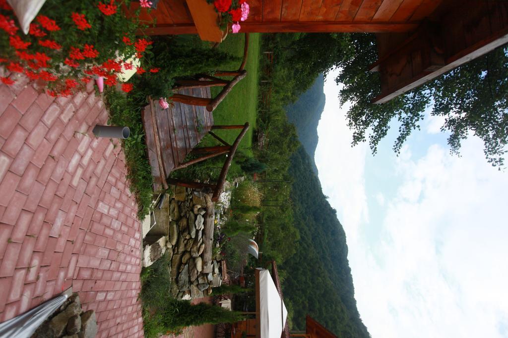 Gasthaus Maria Borlova Dış mekan fotoğraf