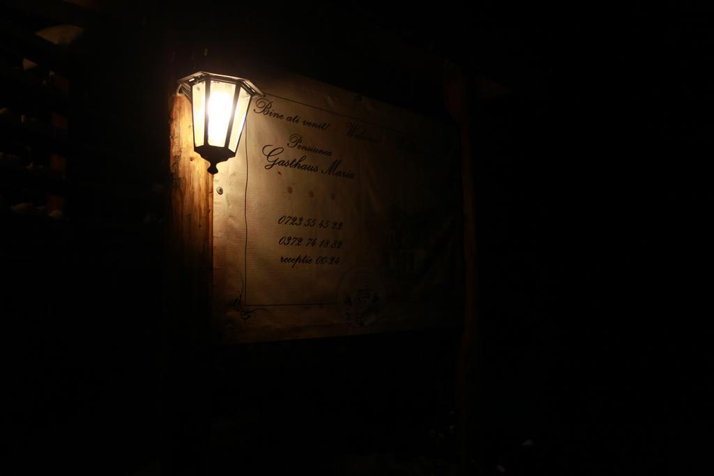 Gasthaus Maria Borlova Dış mekan fotoğraf
