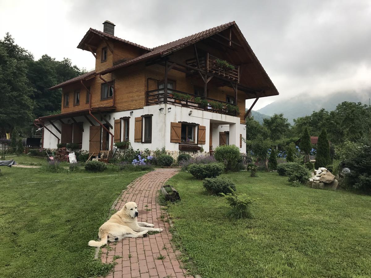 Gasthaus Maria Borlova Dış mekan fotoğraf