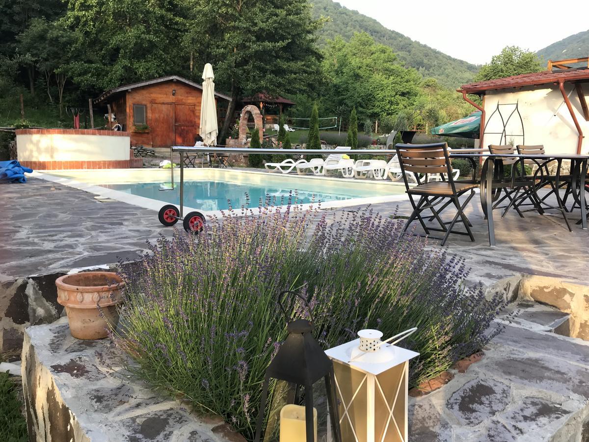 Gasthaus Maria Borlova Dış mekan fotoğraf